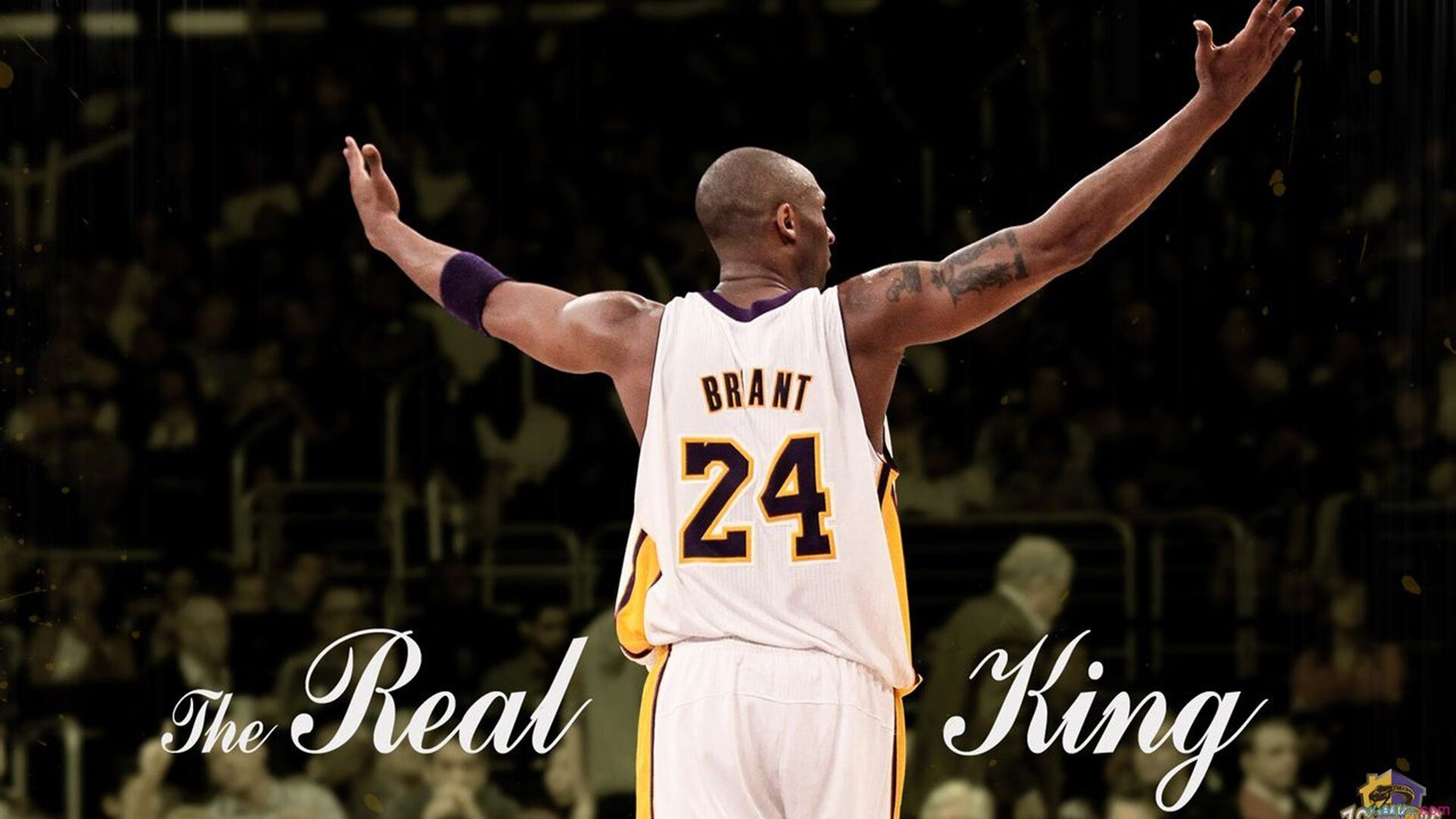 开云体育ios下载-特色篮球赛事融入社区，打造品牌社区体育活动，社区篮球运动